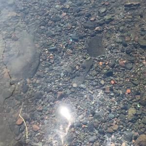 Meet your Posher, Mari